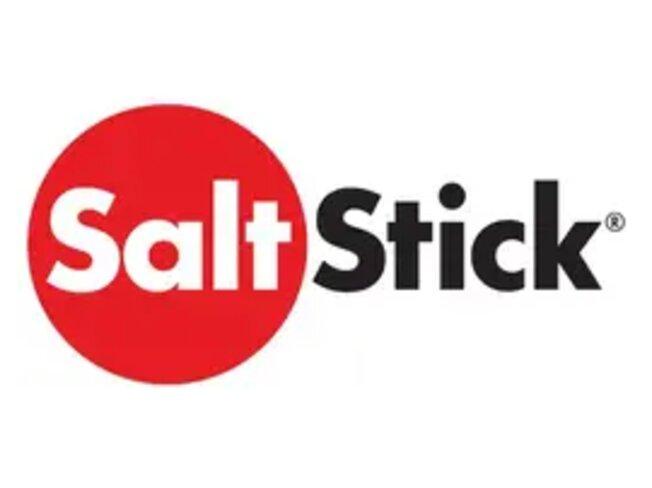 SaltStick Electrolyte FastChews Topical mango