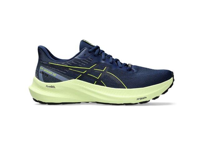 ASICS GT-2000 12 GTX men blue