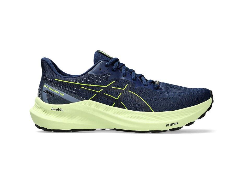 ASICS GT-2000 12 GTX men blue